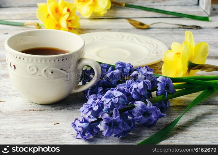 Cup of tea,a branch cut hyacinth and narcissus