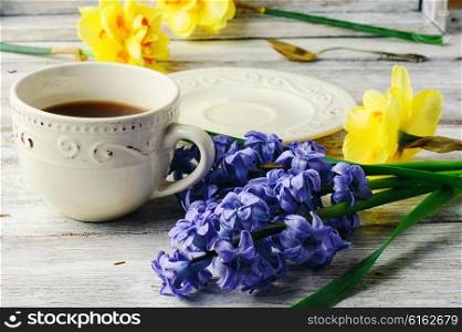Cup of tea,a branch cut hyacinth and narcissus
