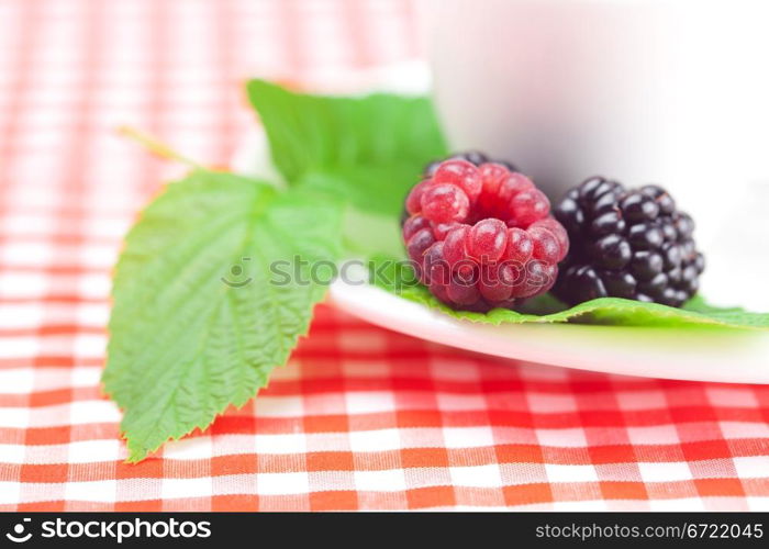 cup of tea,raspberry and blackberry with leaves on plaid fabric