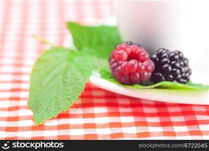 cup of tea,raspberry and blackberry with leaves on plaid fabric
