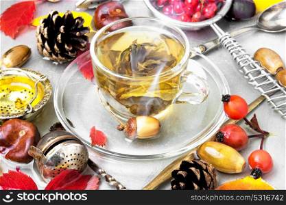 cup of warming autumn tea. Herbal tea on an autumn background with fallen leaves.Autumn still life