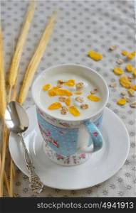 Cup of yogurt with crunchy cereals