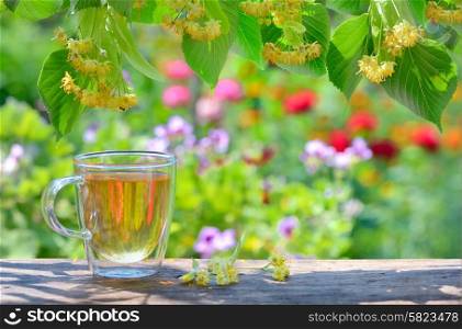 cup with linden tea and flowers in garden