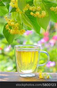 cup with linden tea and flowers on wooden table in garden