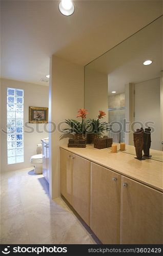 Cupboard storage and large mirror with glass bricks in palm Springs bathroom
