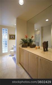 Cupboard storage and large mirror with glass bricks in palm Springs bathroom