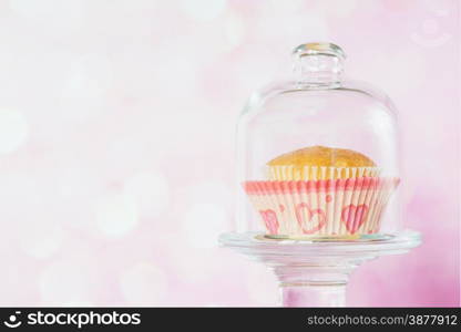 Cupcake covered with a glass cover on a pink background with bokeh