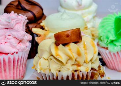cupcake variety with chocolate and other creams