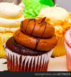 cupcake variety with chocolate and other creams