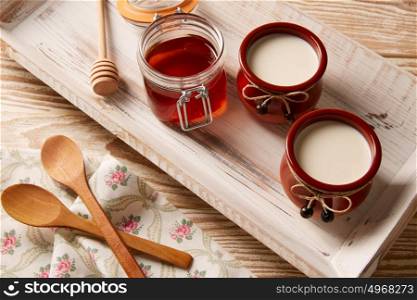 Curd dairy dessert with honey in white wooden tray