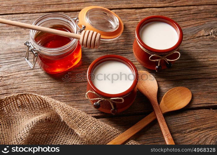 Curd dairy dessert with honey on wooden table