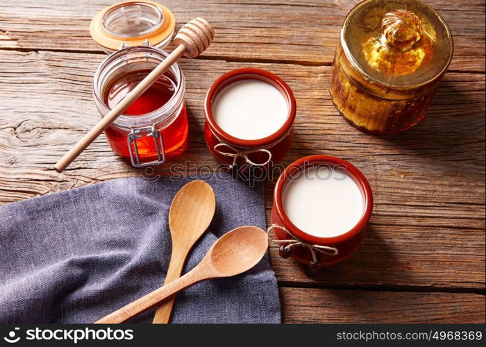 Curd dairy dessert with honey on wooden table