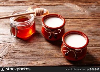 Curd dairy dessert with honey on wooden table