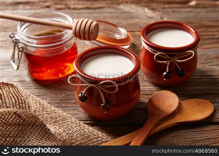 Curd dairy dessert with honey on wooden table
