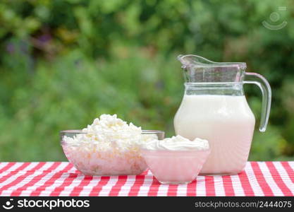 Curd sour cream and milk on a table with a red tablecloth on a natural green background. Curd sour cream and milk on table with red tablecloth