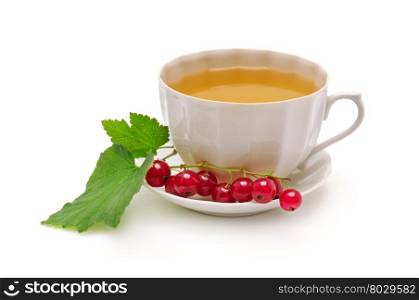 Currant tea isolated on white background