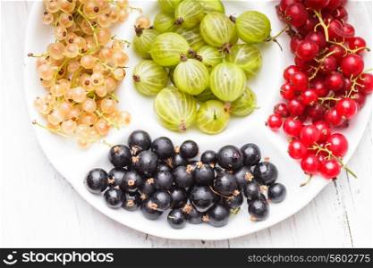 Currants and gooseberry in a bowl on the table
