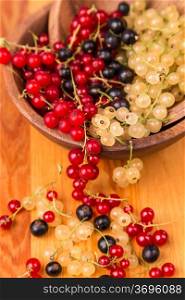 currants different of colors - red, black, white