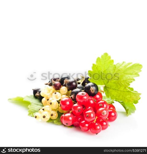 Currants with green leafs isolated on white background. Close up, shallow deep of field.