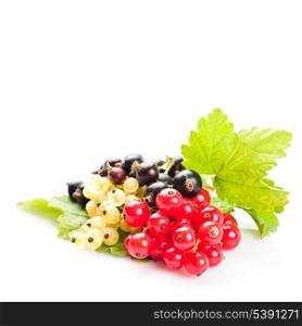 Currants with green leafs isolated on white background. Close up, shallow deep of field.