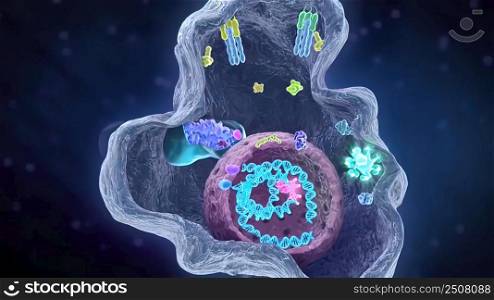 Current, occurring, or functioning state within a cell. Cell functions. 3D illustration. Intracellular lysosomes, cell function