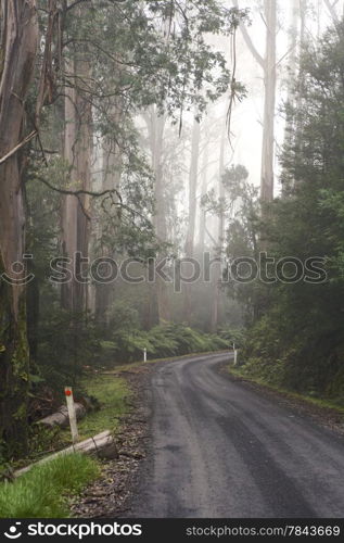 Curved dirt road in the country, Journey