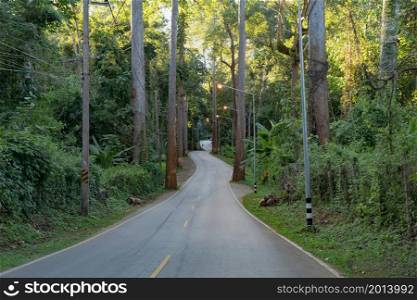 Curved, zigzag road or street on mountain hill with green natural forest trees in rural area of Nan, Thailand. Transportation. Nature landscape background