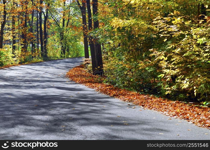 Curving road in a colorful fall forest