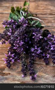cut lavender. beam cut the blooming lavender with pleasant aroma on a wooden table