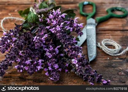 cut lavender. beam cut the blooming lavender with pleasant aroma on a wooden table