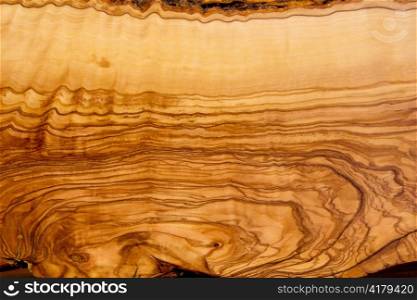cut of olive tree trunk texture as Mediterranean background