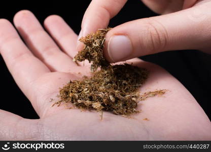 Cut tobacco in hand as a smoking concept