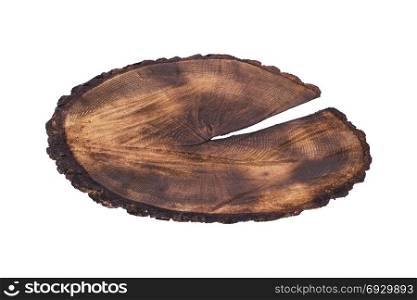 cut tree trunk isolated on white background, top view