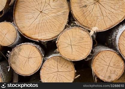 cut trees neatly stacked in a pile