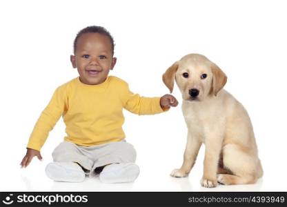 Cute african baby with a nice puppy dog isolated on a white background
