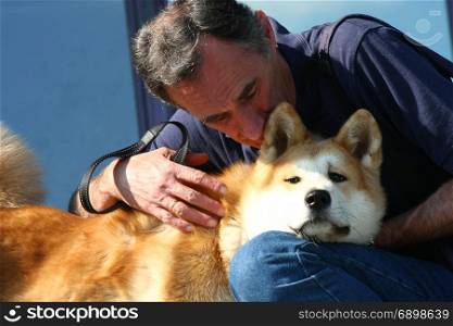 Cute Akita dog enjoys hugging with a man