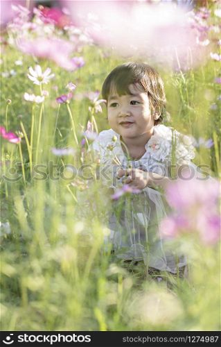 cute asian children girl in nature flowers field. children girl in nature flowers field