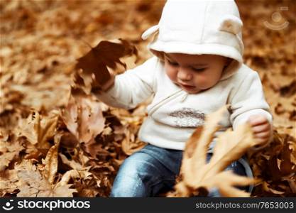Cute baby boy playing with dry tree leaves in autumn park, happy baby enjoying warm autumnal season