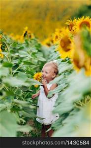 cute baby girl in field with sunflowers. little girl is holding sunflower in her hand. The concept of summer holiday. baby&rsquo;s day. selective focus.. cute baby girl in field with sunflowers. little girl is holding sunflower in her hand. The concept of summer holiday. baby&rsquo;s day. selective focus