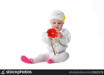 Cute baby girl playing with red flower