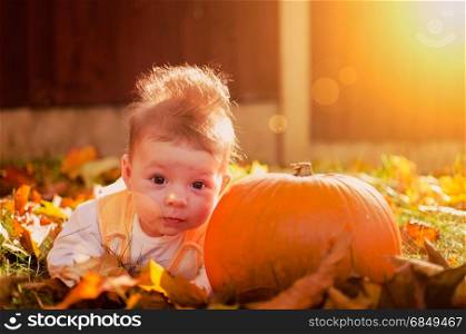 Cute baby girl with pumpkin in autumn garden covered with colorful autumn leaves