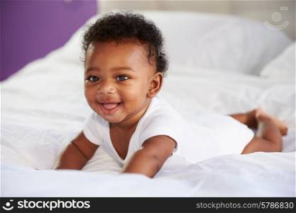 Cute Baby Lying On Tummy In Parent&#39;s Bed
