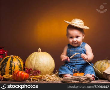 Cute baby with ears of wheat in the hands posing on the background of pumpkins.. Postcard to the day of Thanksgiving