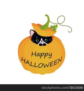 Cute black cat sitting in Halloween pumpkin. Cartoon flat style. Vector illustration
