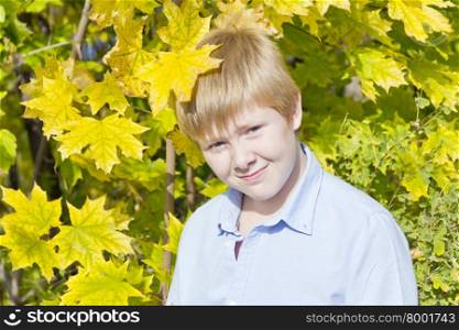 Cute blond boy in autumn yellow forest