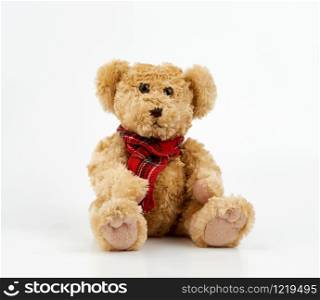 cute brown curly teddy bear in a red checkered scarf sitting on white background