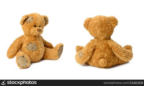cute brown teddy bear isolated on white background, sitting back and sideways