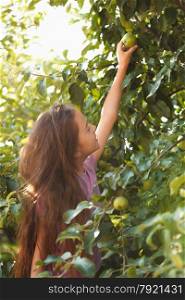 Cute brunette girl reaches green apple on tree at sunny day
