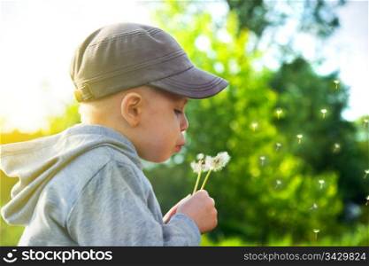 Cute child blowing dandelion in a sunny spring day