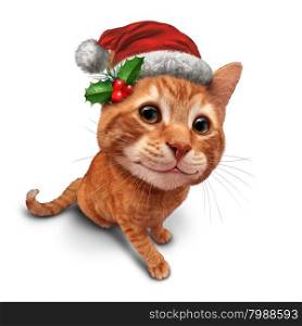 Cute christmas cat or holiday celebration feline pet on a white background as an orange tabby kitty with a smile in forced perspective as a symbol of pets and veterinary health during winter holidays.